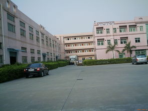 深耕莞邑，服務灣區——深圳市伙伴房地產經紀東莞分公司產品展示與物業管理